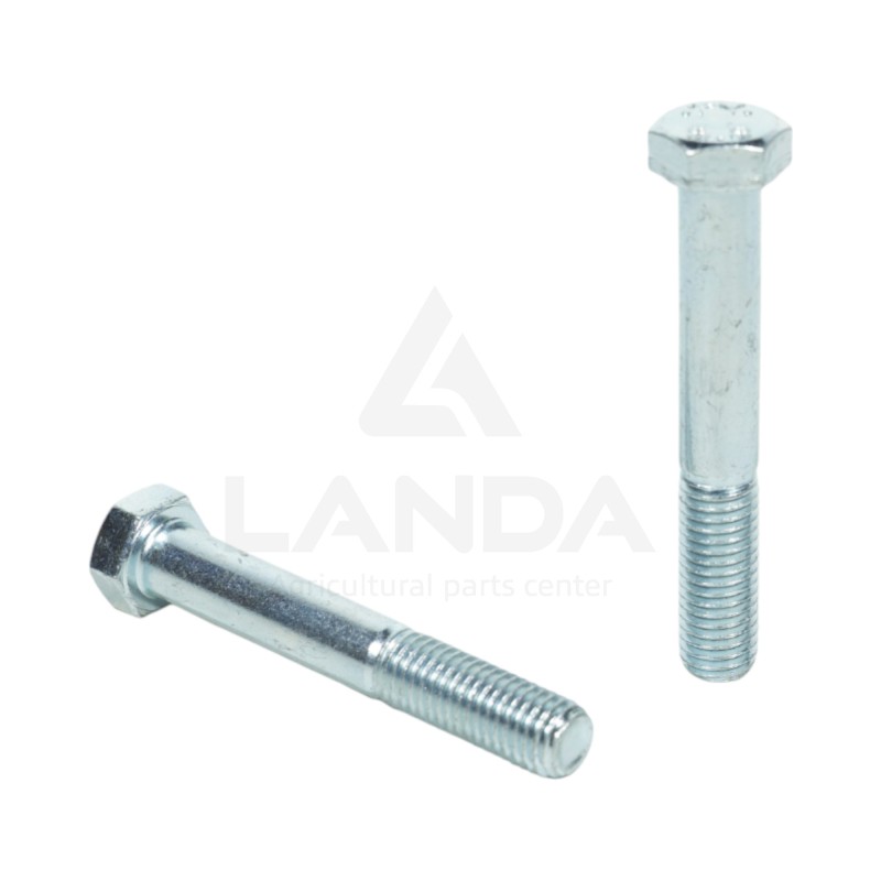 VIS FIXATION DENT ANDAINEUR