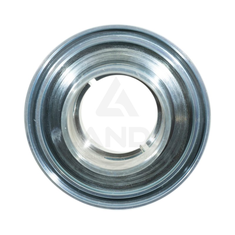 MANCHON (COTE DROIT)