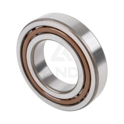 CYLINDRICAL ROLLER BEARING