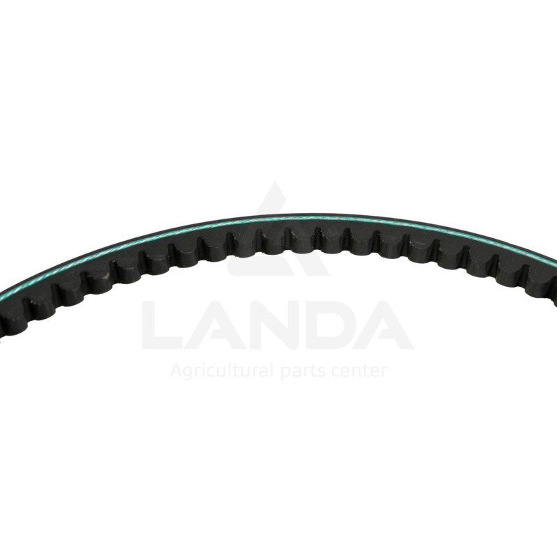 CORREA TRAPEZOIDAL DENTADA