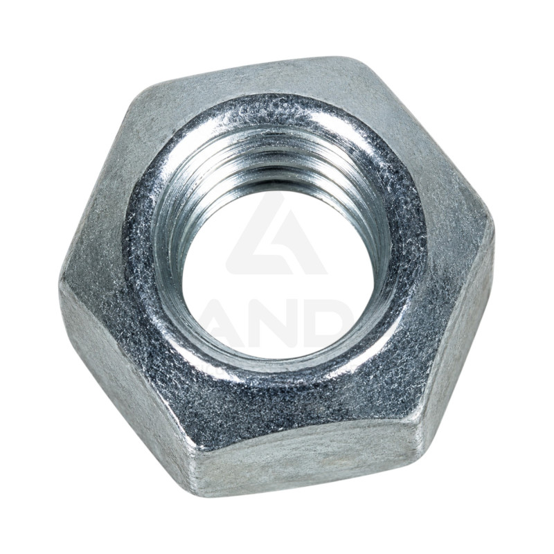 M6 CONICAL CLAMP NUT
