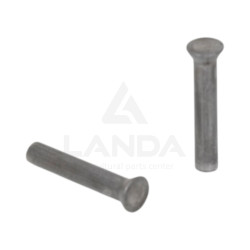 PAQUET DE 100 RIVETS TETE FRAISEE (5,4x30)