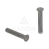 PAQUET DE 100 RIVETS TETE FRAISEE (5,4x30)