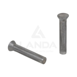 100 RIVETS 5,4X30