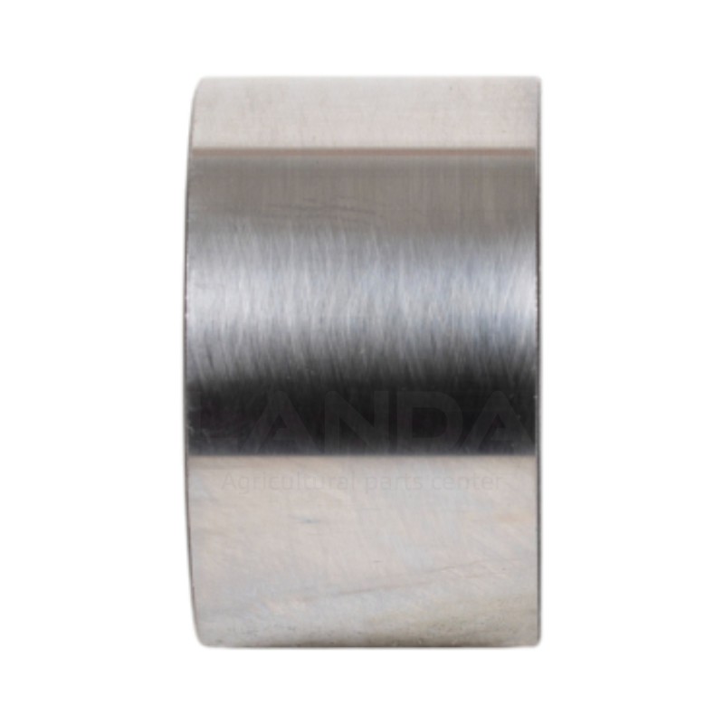 BAGUE INTERIEURE IR25X30X18IS1OFXL