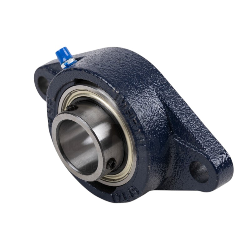 OVAL HOUSING BEARING UNIT (2 HOLES)