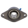 OVAL HOUSING BEARING UNIT (2 HOLES)