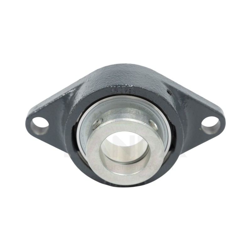 OVAL HOUSING BEARING UNIT (2 HOLES)
