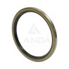 JUNTA SPI SIMPLE LABIO (100x120x8)