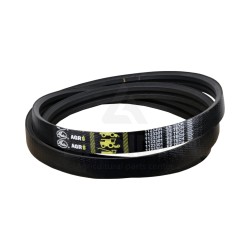 MULTIBAND V-BELT 2-GROOVE HB