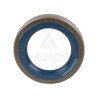 SINGLE LIP SEAL (35x55x10)
