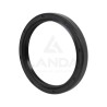 DOUBLE LIP SEAL (55x68x8)