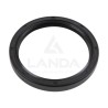 DOUBLE LIP SEAL (55x68x8)