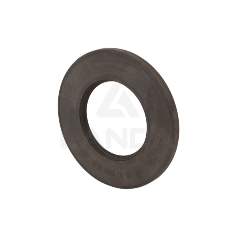 SINGLE LIP SEAL (55x100x8)