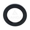 DOUBLE LIP SEAL (65x95x10)