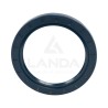 DOUBLE LIP SEAL (75x100x10)