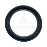 DOUBLE LIP SEAL (75x100x10)