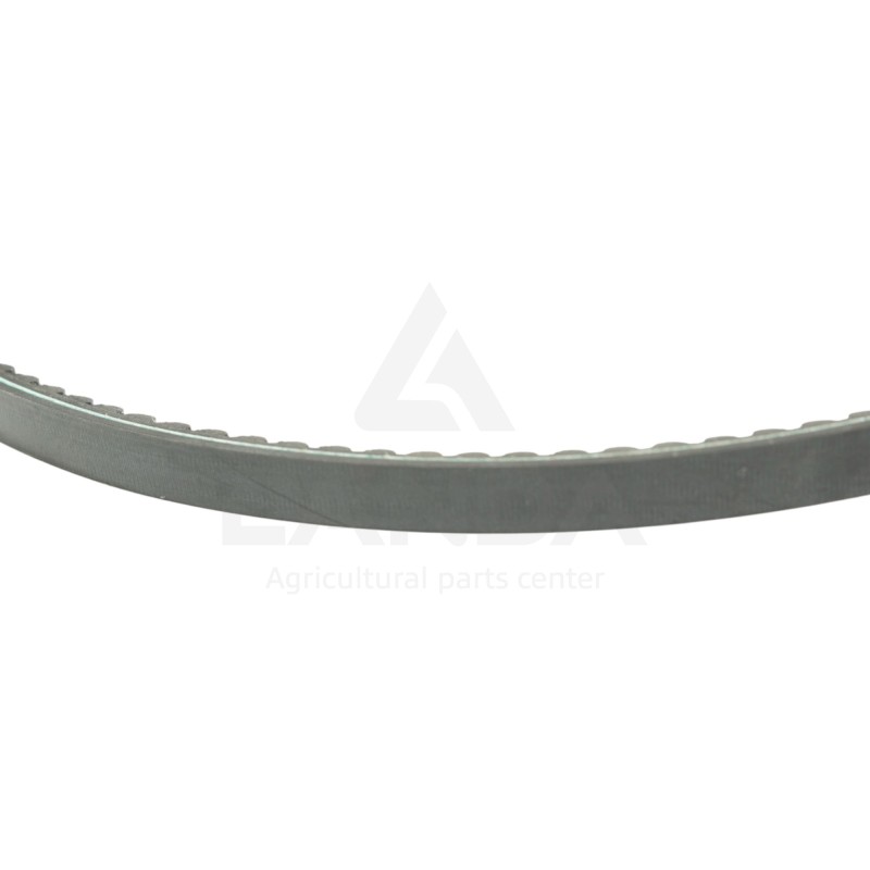 CORREA VARIADOR DENTADA