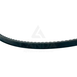 CORREA TRAPEZOIDAL DENTADA