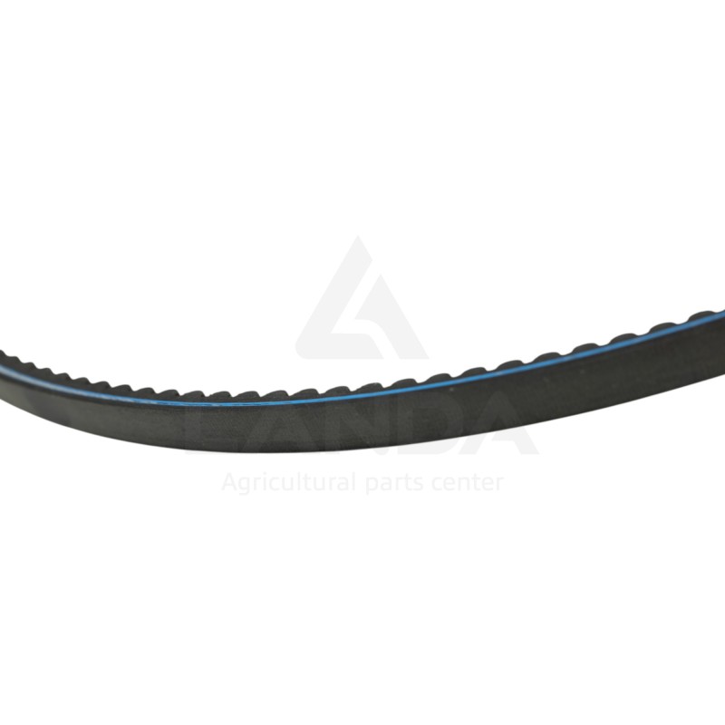 CORREA TRAPEZOIDAL DENTADA