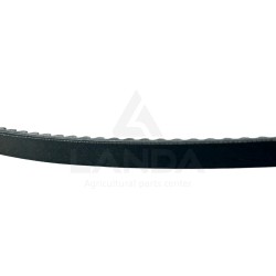SET OF 2 SERRATED V-BELTS