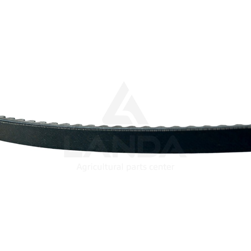 SET OF 2 SERRATED V-BELTS