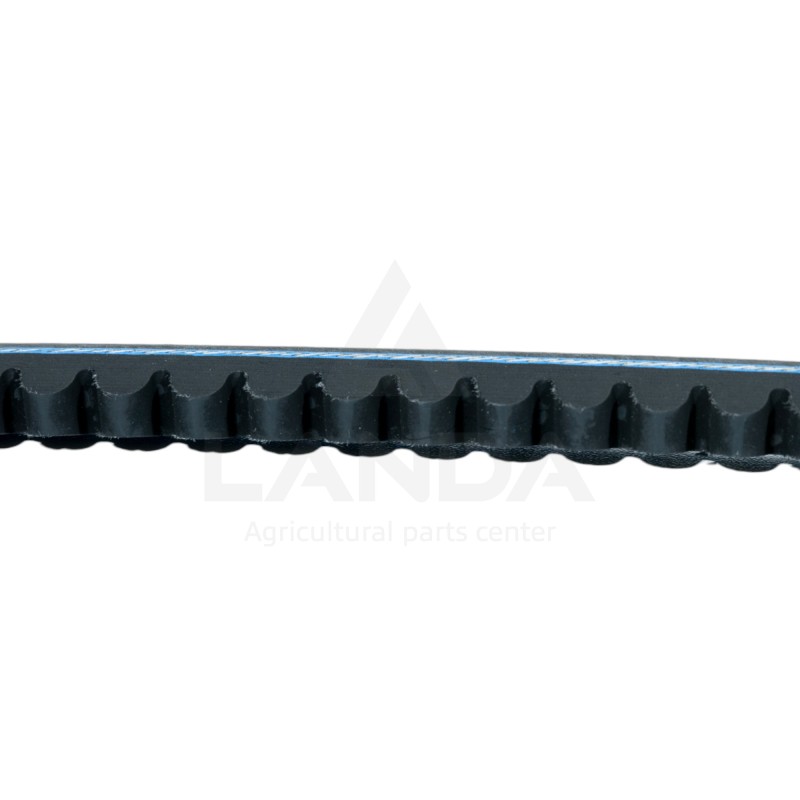 SET OF 2 SERRATED V-BELTS