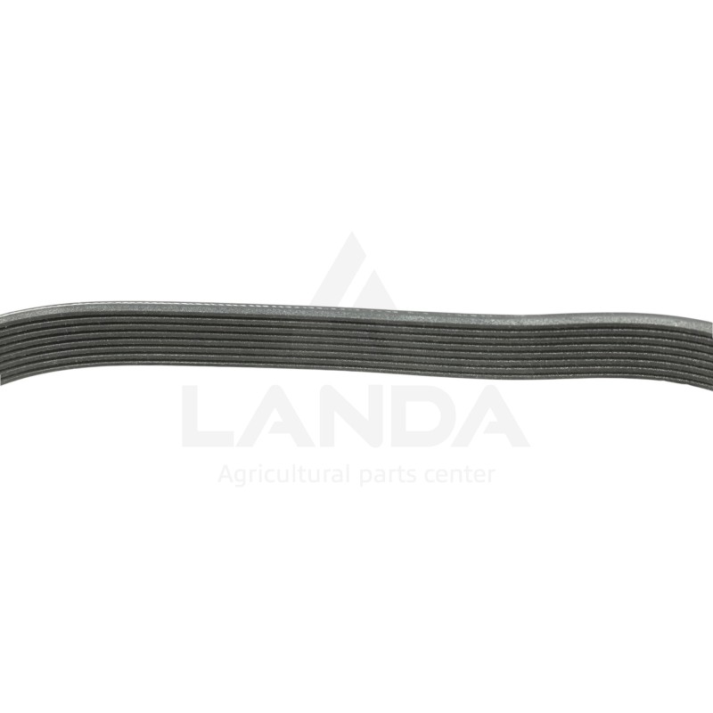 CORREA PLANA POLY-V 8 CANALES