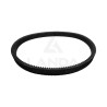 DOUBLE SERRATED VARIABLE SPEED BELT