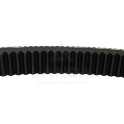 DOUBLE SERRATED VARIABLE SPEED BELT