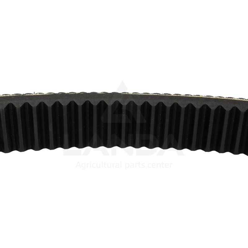 DOUBLE SERRATED VARIABLE SPEED BELT
