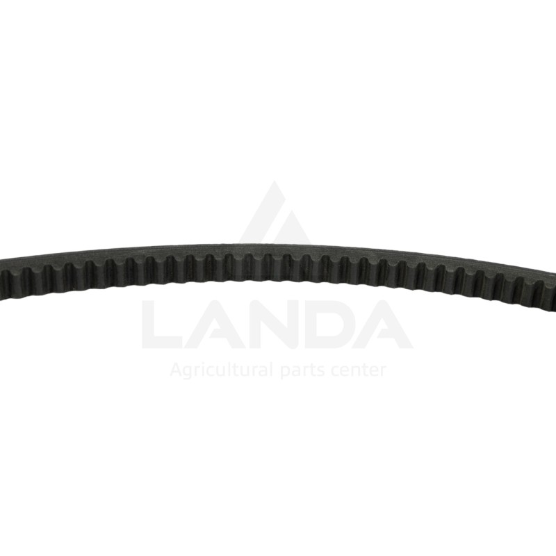 CORREA TRAPEZOIDAL DENTADA