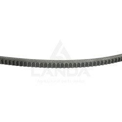 SET OF 2 SERRATED V-BELTS