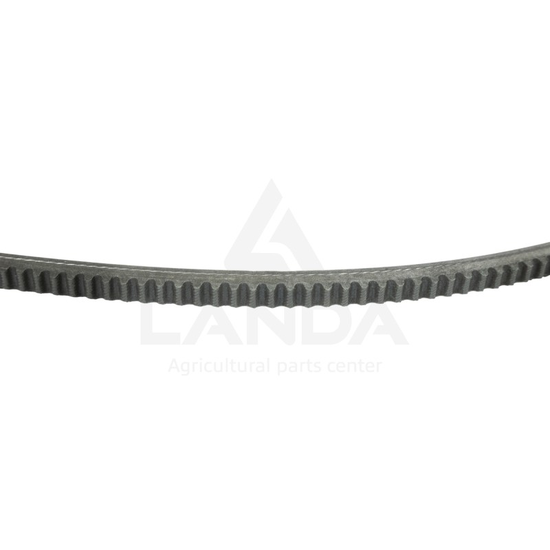 SET OF 2 SERRATED V-BELTS