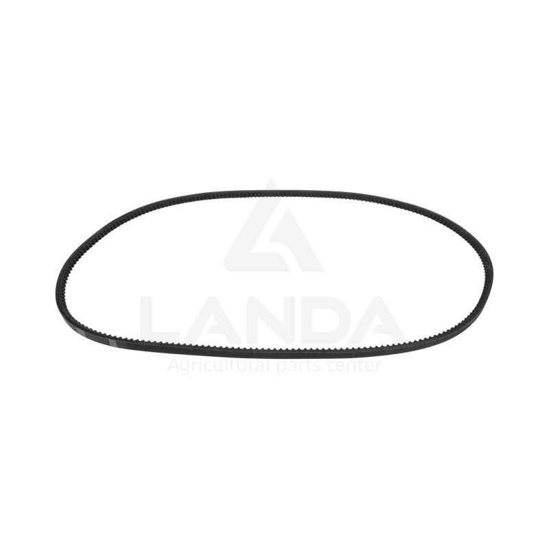 CORREA TRAPEZOIDAL DENTADA