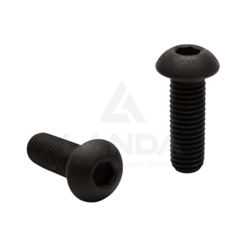 VIS TETE BOMBEE SIX PANS CREUX (M10x30)