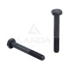 HEX BOLT M10X70 8.8