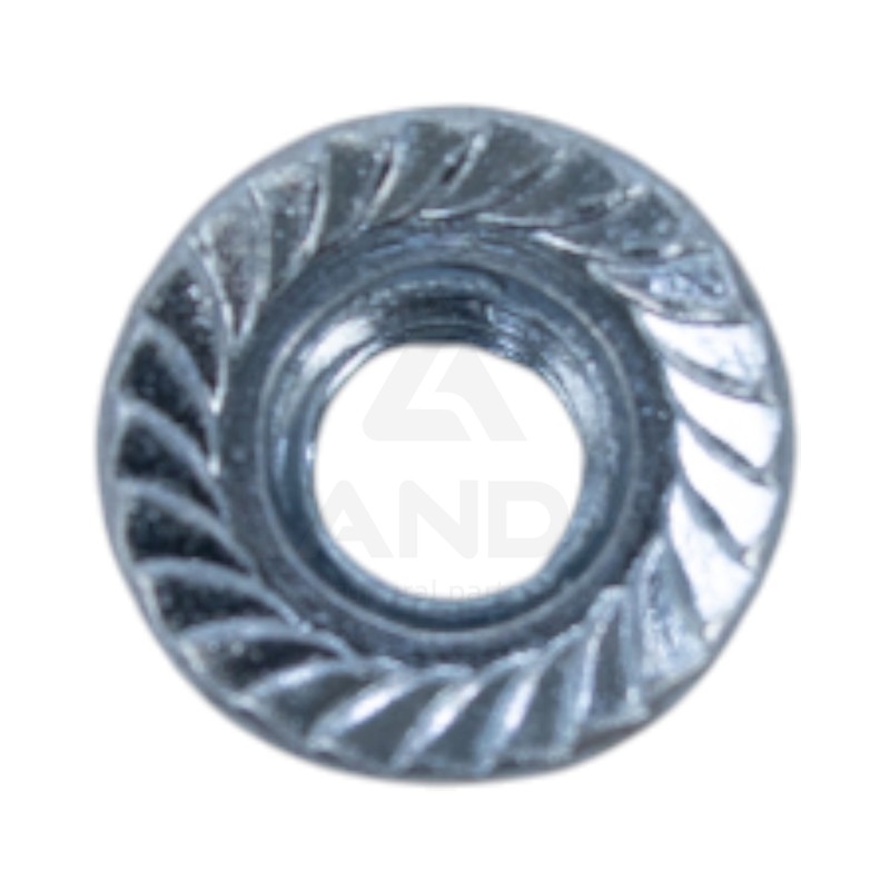 TOOTHED BASE NUT 5/16