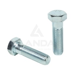 VIS TETE HEXAGONALE (M16x55)