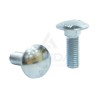 CARRIAGE BOLT M10X30