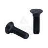 FLAT HEAD CARRIAGE BOLT M10X35 10.9