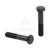 VIS TETE HEXAGONALE (M16x80)