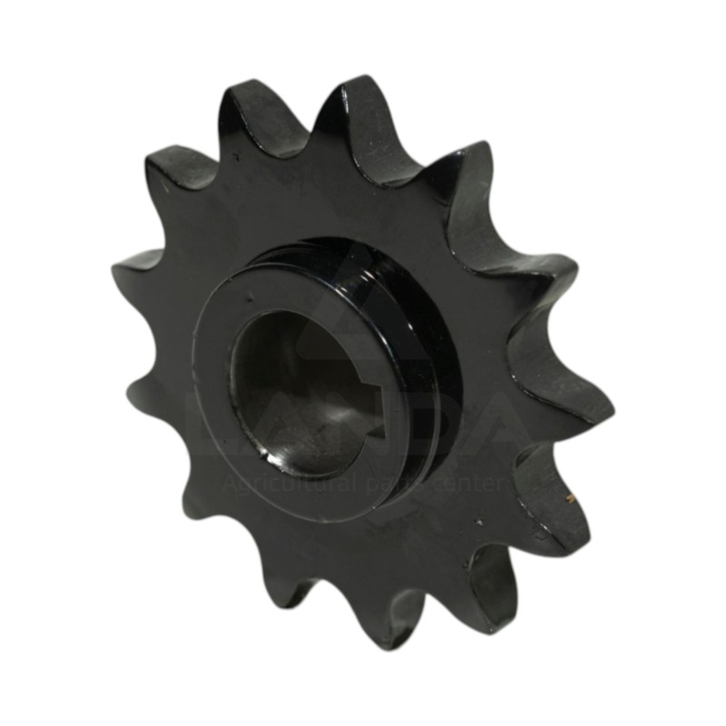 PIGNON ASA60 13 Z