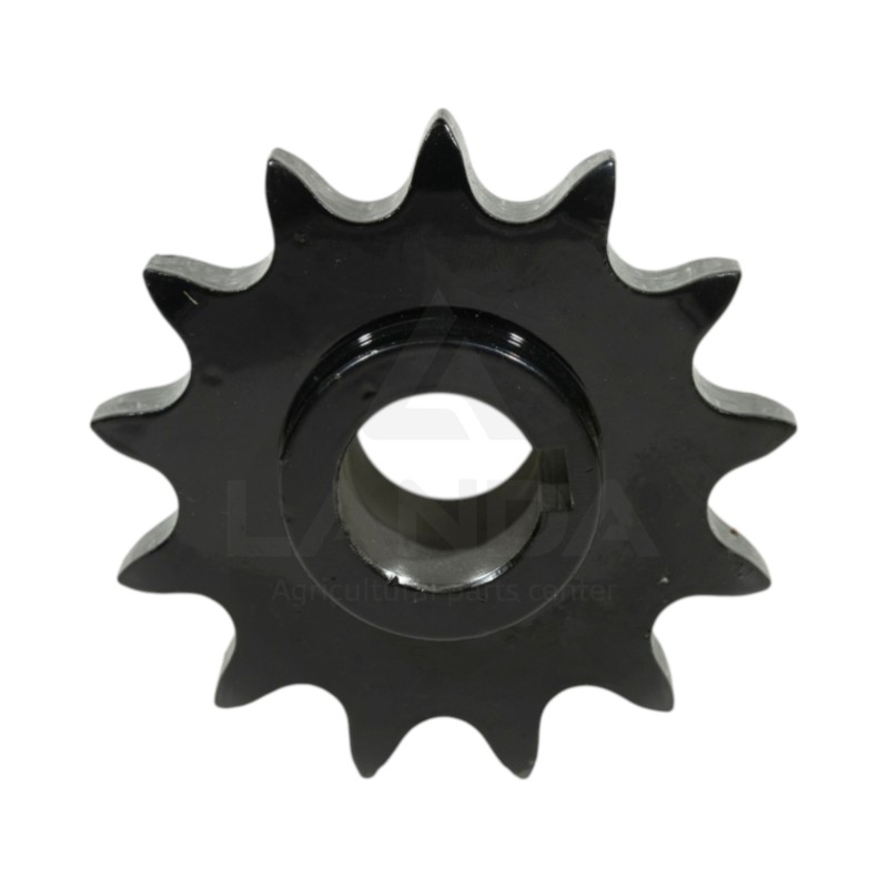 PIGNON ASA60 13 Z