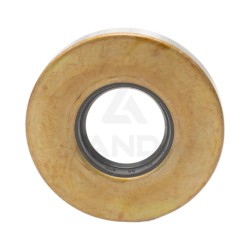 SINGLE LIP SEAL (30x72x10)