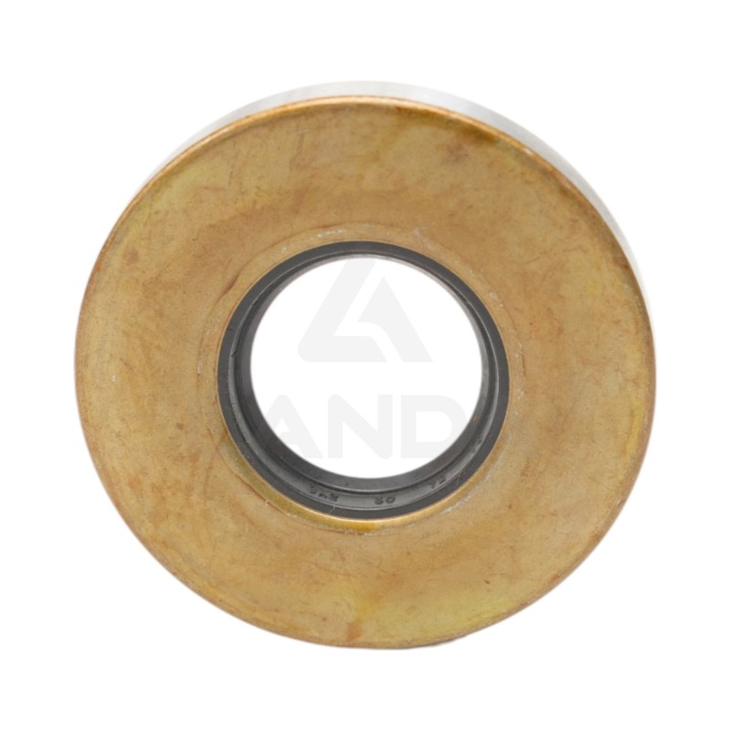 SINGLE LIP SEAL (30x72x10)