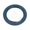 JOINT SPI DOUBLE LEVRE (80x110x10)