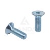 SOCKET BOLT M10X30