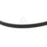 COURROIE TRAPEZOIDALE CRANTEE