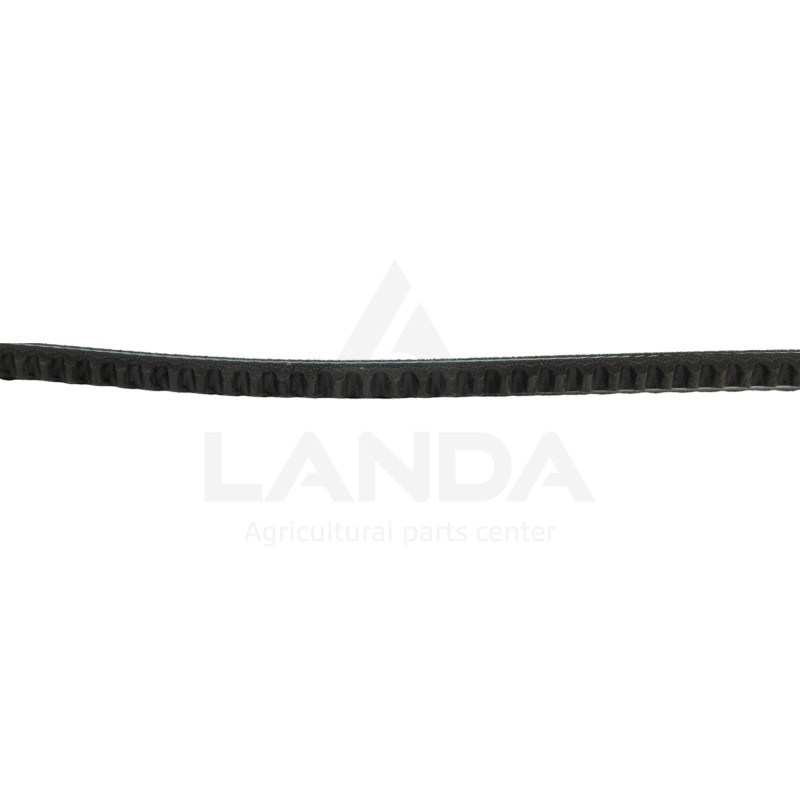COURROIE TRAPEZOIDALE CRANTEE AVX10X1150